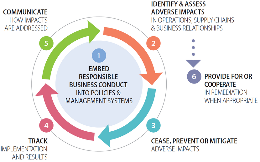 Due Diligence OECD Guidelines National Contact Point OECD Guidelines